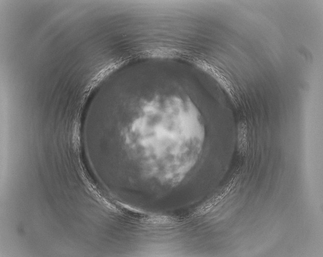 X0000115530581200911201721