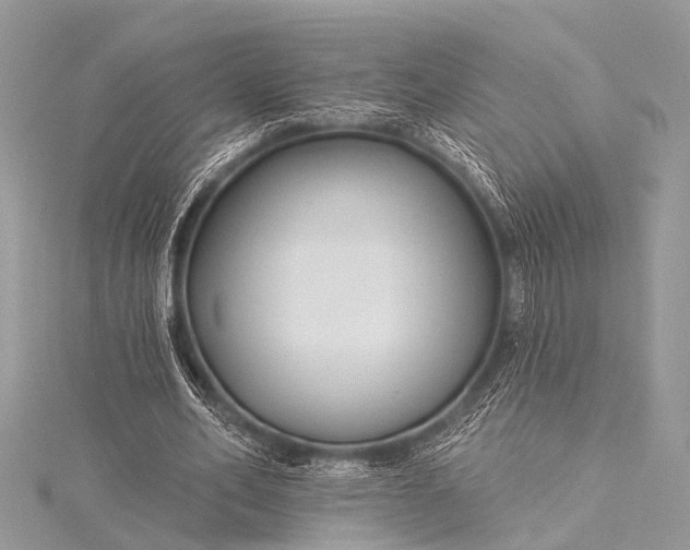 X0000115530582200911201721