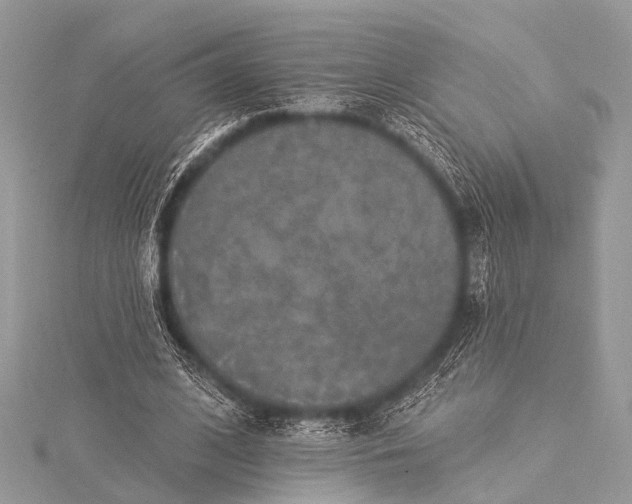 X0000115530584200911201721