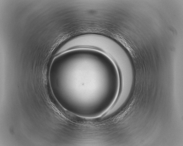 X0000115530585200911201721