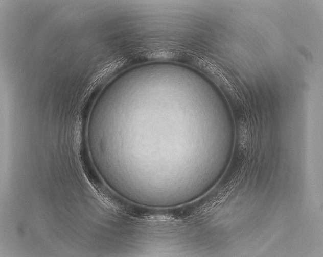 X0000115530586200911201721