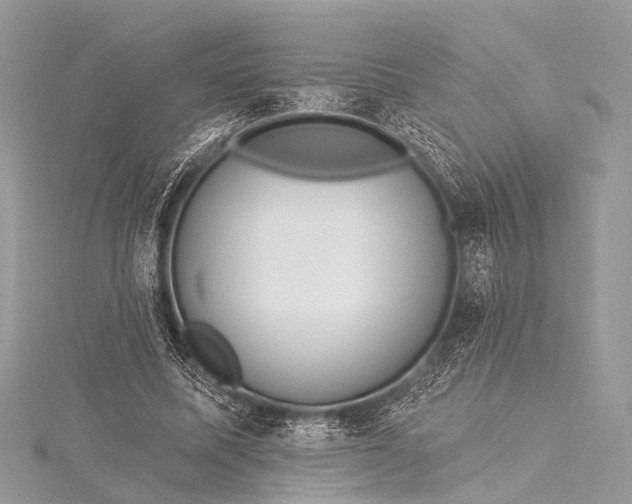 X0000115530587200911201721