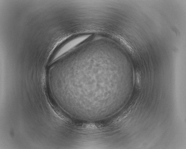 X0000115530588200911201721