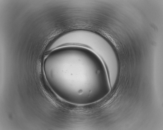 X0000115530589200911201721