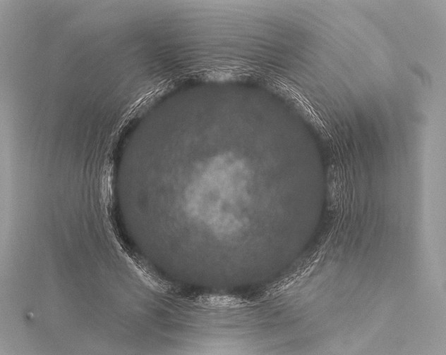 X0000115530590200911201721