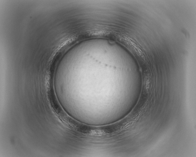 X0000115530591200911201721