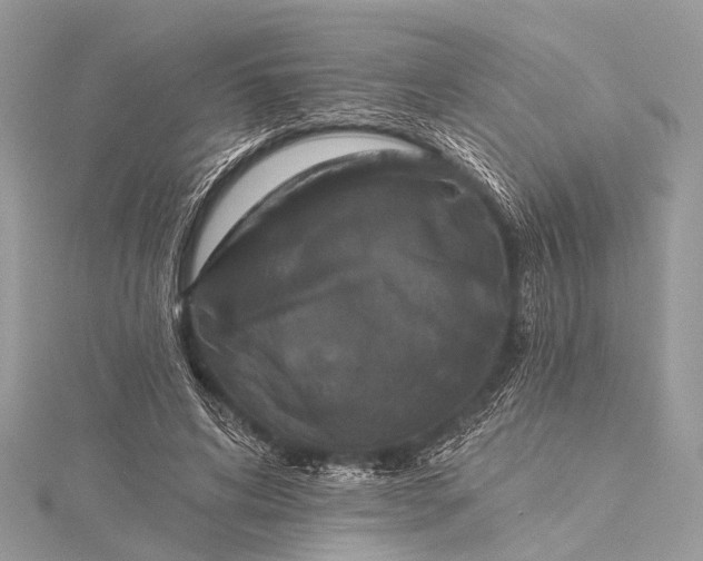 X0000115530592200911201721