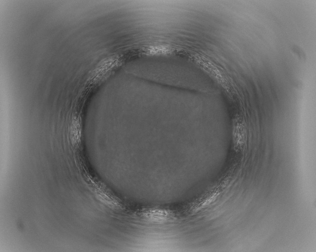 X0000115530593200911201721