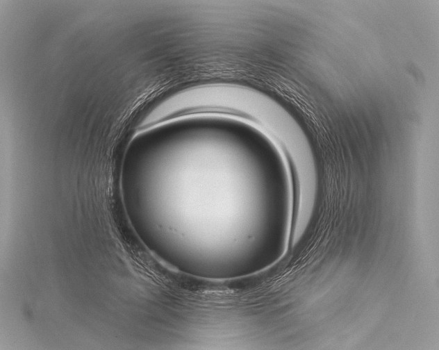 X0000115530595200911201721