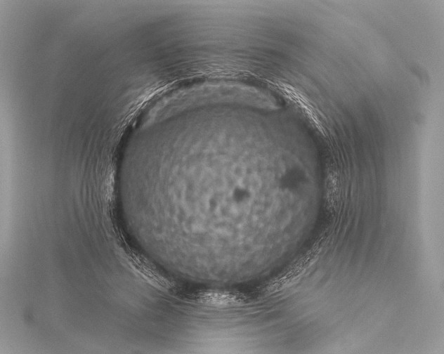 X0000115530596200911201721