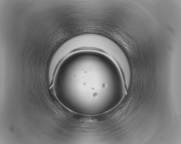 X0000115530597200911201721