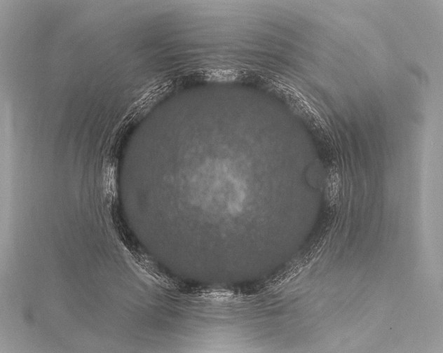 X0000115530598200911201721