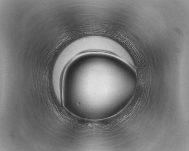 X0000115530599200911201721