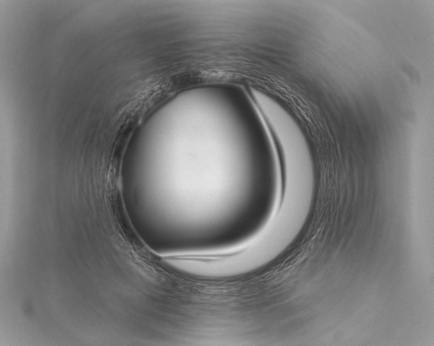 X0000115530601200911201721