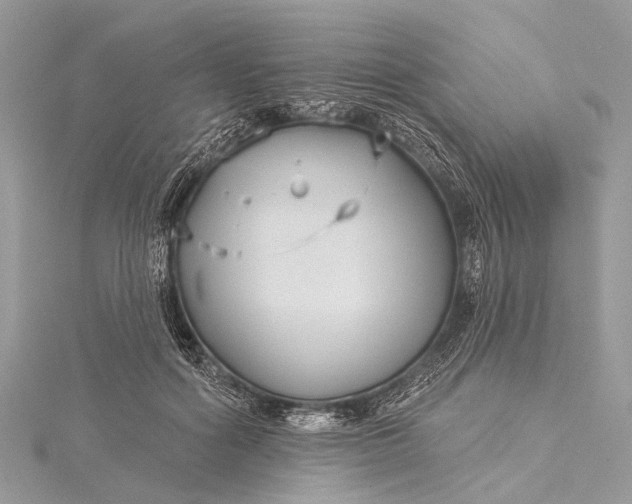 X0000115530602200911201721