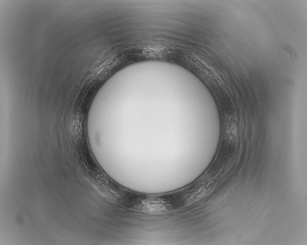 X0000115530603200911201721