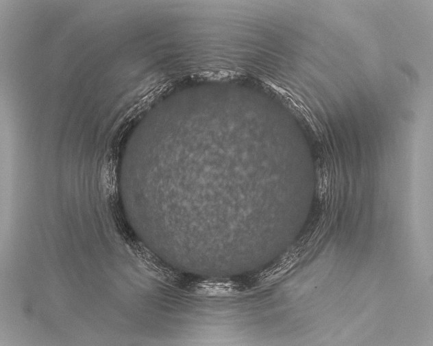 X0000115530606200911201721