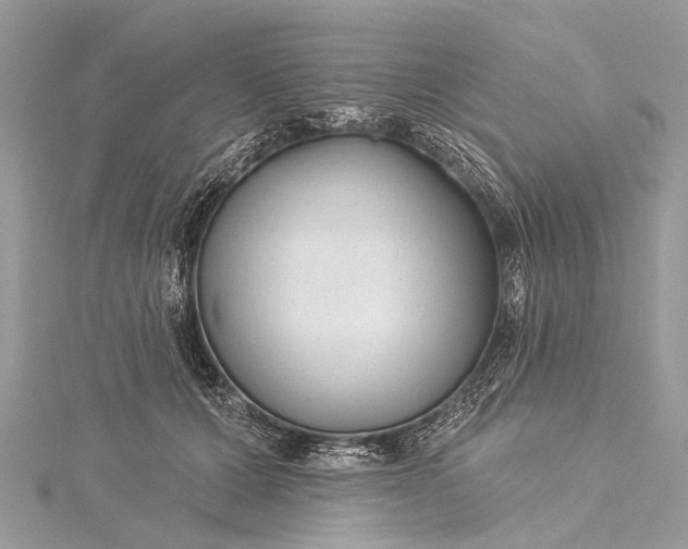 X0000115530607200911201721