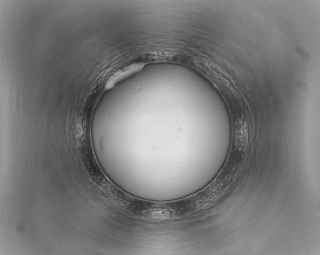 X0000115530608200911201721