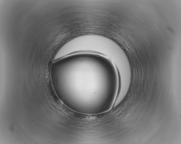 X0000115530609200911201721