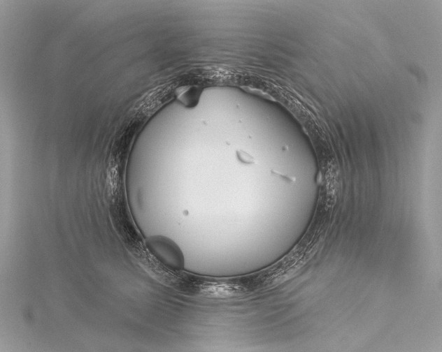 X0000115530611200911201721