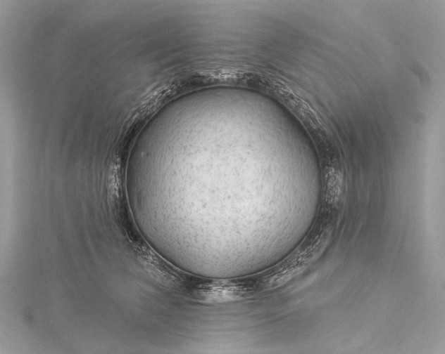 X0000115530612200911201721