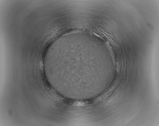 X0000115530613200911201721