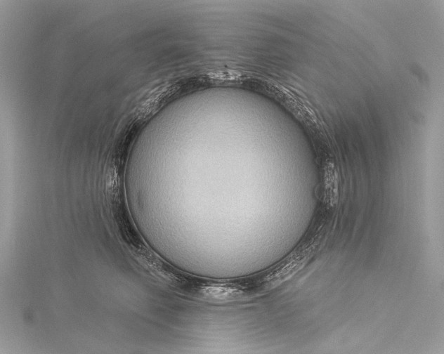 X0000115530614200911201721