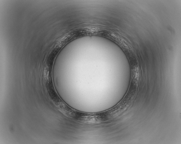 X0000115530615200911201721