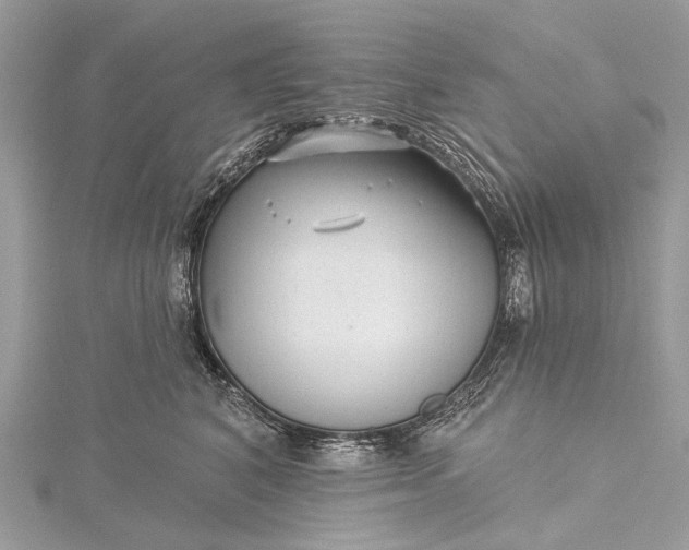 X0000115530616200911201721