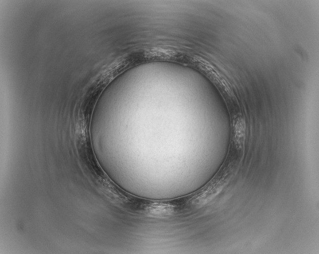 X0000115530617200911201721