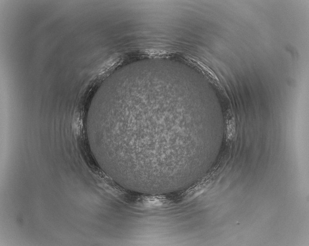 X0000115530618200911201721