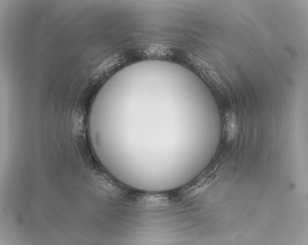 X0000115530619200911201721