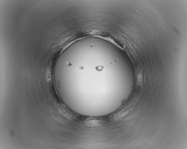 X0000115530620200911201721