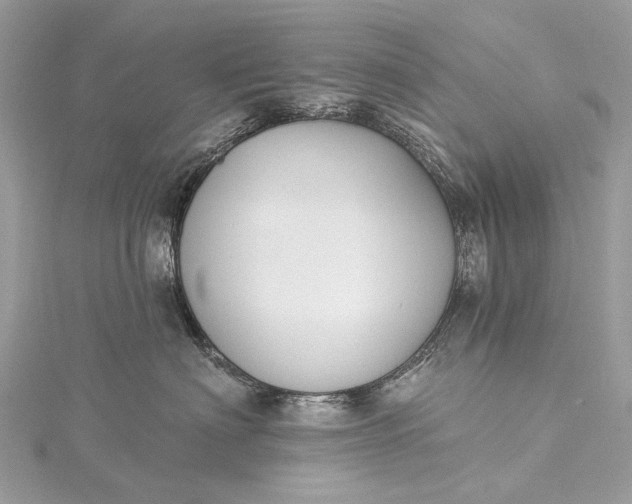 X0000115530622200911201721