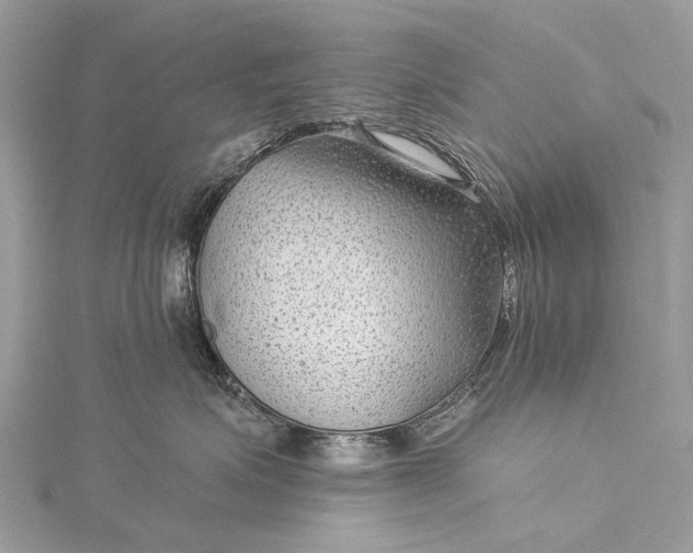 X0000115530623200911201721