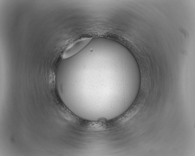 X0000115530624200911201721