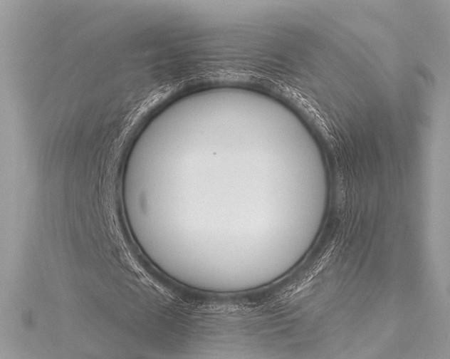 X0000115530625200911201720