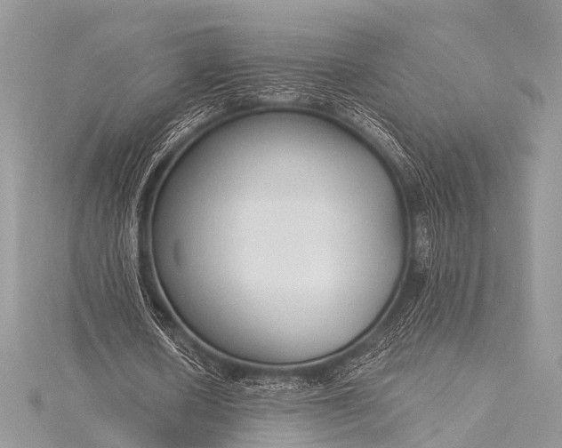 X0000115530626200911201720