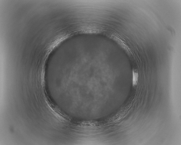 X0000115530627200911201720