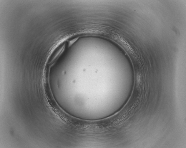 X0000115530628200911201720