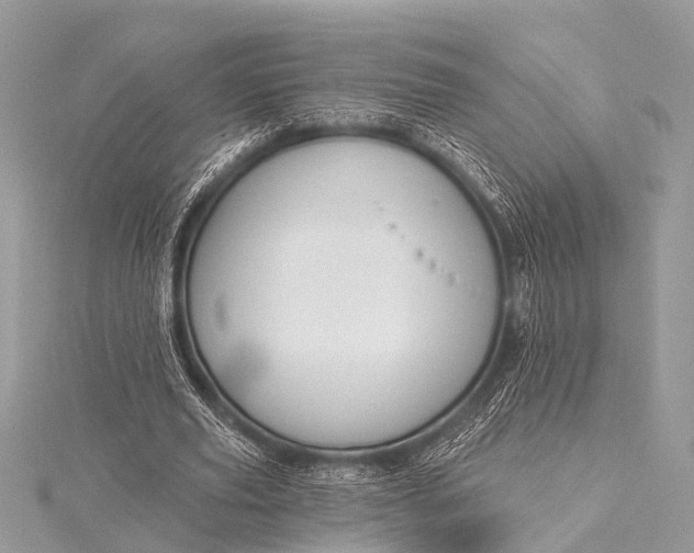 X0000115530629200911201720