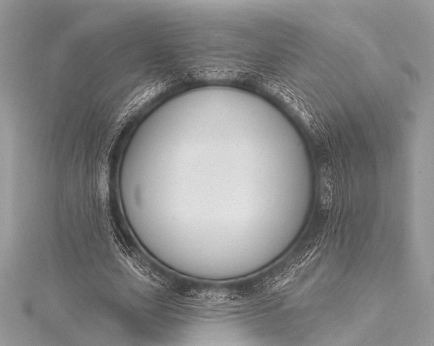 X0000115530631200911201720