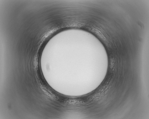 X0000115530632200911201720