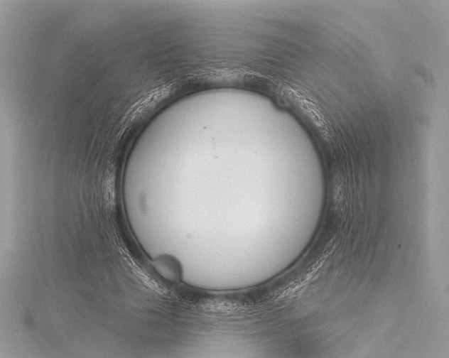 X0000115530633200911201720