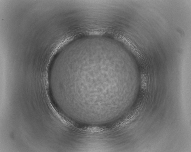 X0000115530634200911201720