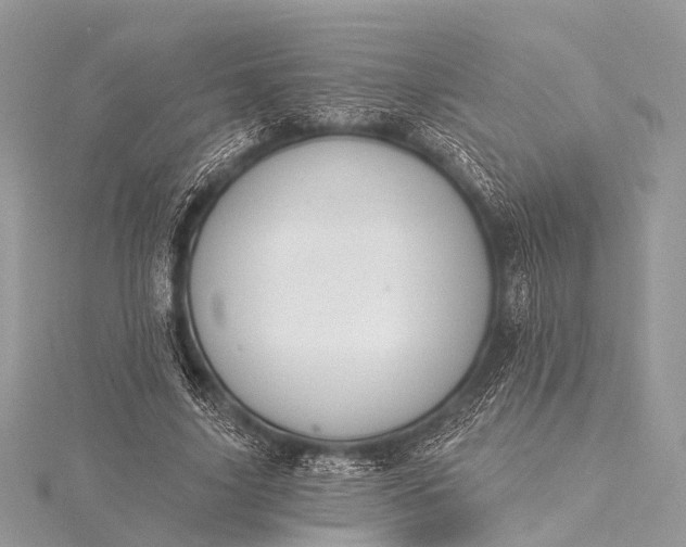 X0000115530635200911201720