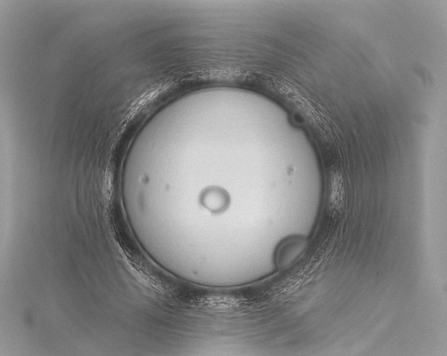 X0000115530636200911201720