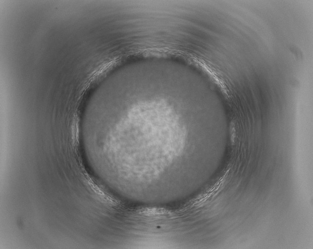 X0000115530637200911201720