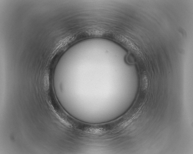 X0000115530638200911201720